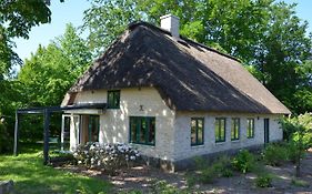 Holsteinshof - Reetdachkate Zwischen Nord- Und Ostsee